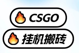 CSGO饰品全自动捡漏教程 无需打游戏手机操作单日收益超千元