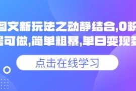 抖音0粉可做的动静结合小说推文图文玩法 实操变现教程
