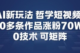 AI哲学短视频制作实操教学 0成本可矩阵20条作品涨粉70W攻略