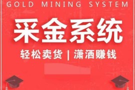采金系统2.0私域运营全攻略 全链路提升成交转化与卖货业绩