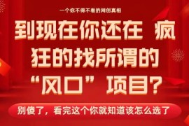 2026年互联网创业思路 为什么卖铲子比追风口项目更赚钱