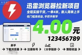 迅雷浏览器拉新项目实操指南 新手易上手单佣4元收益稳定
