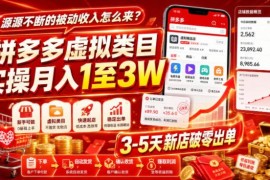 拼多多虚拟类目实操玩法 新手3-5天破零打造被动收入渠道