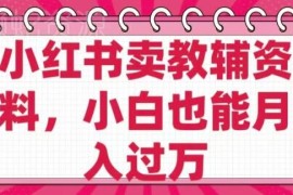 小红书虚拟教辅资料售卖项目解析 零成本低售后小白可实操盈利