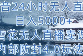 抖音24小时无人直播卖课教程 雪花挂载防封4.0玩法揭秘