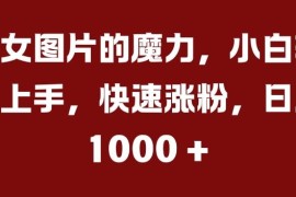 抖音美女图片类账号运营教程 小白零基础快速涨粉变现方法