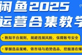 2025年闲鱼电商运营全集 最新卖货玩法实操全教程