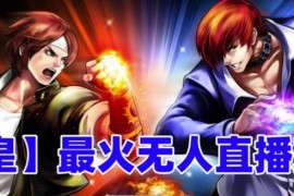 抖音快手拳皇弹幕互动无人直播玩法 附全套开播教程及配套资源