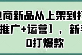 电商新品从上架到打爆实操教程 新手0基础打造爆款全指南