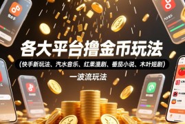 多平台撸金币玩法汇总 快手汽水音乐等一波流实操教程
