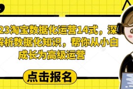 2023淘宝数据化运营14式详解 助力运营小白成长为高级运营