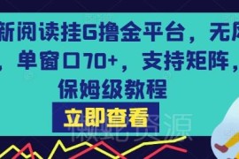 无风控阅读挂机撸金平台实操教程 单窗70+收益支持矩阵布局