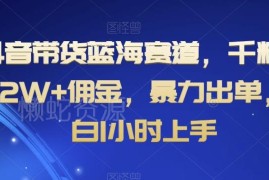 抖音千粉带货蓝海赛道实操 小白易上手高佣出单玩法教程