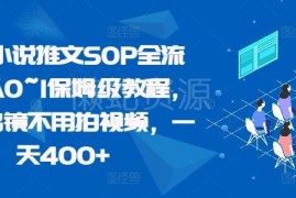 2024最新小说推文保姆级全流程SOP 零基础无需出镜拍视频可操作