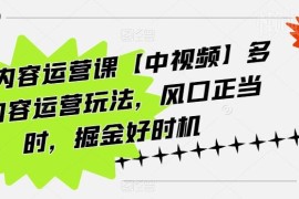 海外中视频运营全流程课程 多玩法实操从入门到变现教学