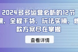 2024拼多多运营必学12节实操课 覆盖爆款打造流量玩法全干货