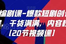 20节权威短剧编剧精品课 爆款短剧创作全流程干货教学