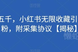小红书无限收藏引流创业粉实操方法 附配套采集协议资源