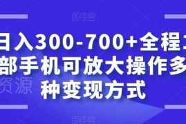 单部手机可操作无门槛聊天赚钱项目 多变现方式可放大适合新手