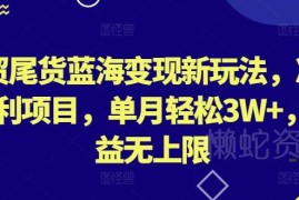外贸尾货蓝海变现玩法拆解 冷门副业单月可实现收益3万+