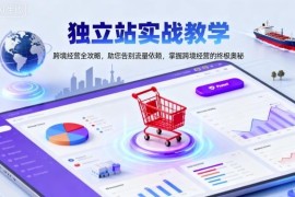 跨境独立站运营实战教学 全链路攻略助你摆脱流量依赖