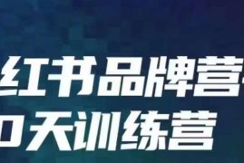 小红书品牌60天训练营第6期 系统掌握内容营销底层逻辑全流程玩法