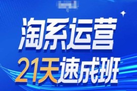 最新淘系运营24天速成班第28期 万相台无界引免费流量教程