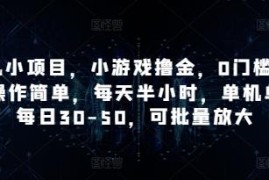 0门槛微信小游戏撸金项目 每天半小时单机单号日入30-50可批量放大