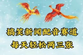 中视频搞笑新闻配音赛道实操指南 收益情况及变现路径详解