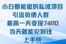 2025年小白可做私域项目 引流负债人群单日最高变现超千元