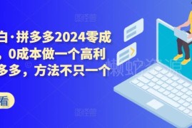 2024拼多多零成本起店攻略 无付费也可做高利润高客单店铺
