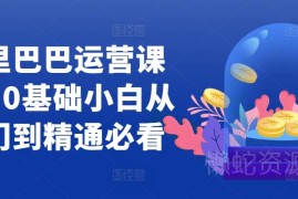 0基础学阿里巴巴运营 从入门到精通全阶段系统课程