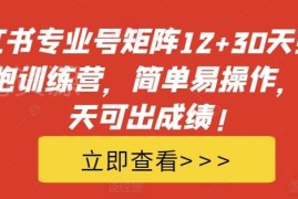 小红书专业号矩阵引流陪跑训练营 新手可上手的获客运营全流程