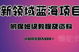 虚拟资源蓝海副业项目保姆级教程 附全套操作资料及变现方法