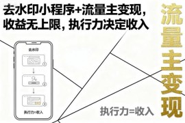 去水印小程序流量主变现玩法解析 收益无上限与执行力直接挂钩