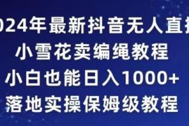 2024年抖音无人直播小雪花卖编绳项目 小白落地实操保姆级教程