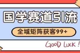 国学赛道精准拓客实操方法 自热矩阵日引99+获客SOP全解析