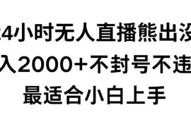 快手24小时无人直播熊出没玩法 零违规不封号小白实操全教程