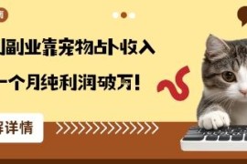 适合小白的宠物占卜副业玩法 从兴趣变现收入翻3倍月纯利破万