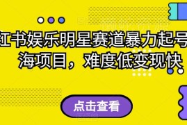 小红书娱乐明星赛道起号方法揭秘 低难度快速变现蓝海项目解析