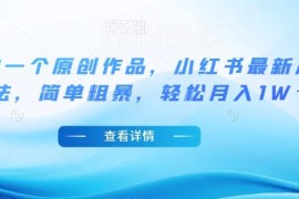 小红书最新冷门原创作品玩法 5分钟出稿 新手可轻松月入过万
