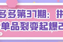 拼多多单品裂变起爆2.0教程 标品非标品起店全流程讲解