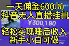 2024年11月抖音无人直播带货玩法 小白可做的24小时管道收益项目