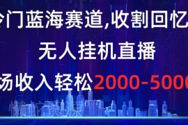 冷门回忆粉无人挂机直播蓝海赛道 单场收益实操玩法解析