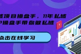 11年TOP私域操盘手实战课 全链路私域运营从入门到精通