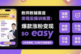 教师教辅赛道变现实操训练营 涨粉引流及课件制作全教程