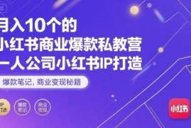 小红书一人公司IP打造实操 爆款笔记运营及商业变现全教程