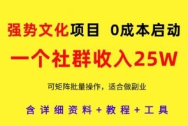 强势文化社群赚钱项目实操教程 零成本启动可批量矩阵操作