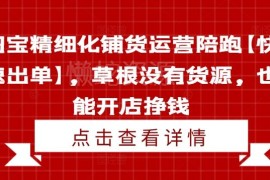 淘宝精细化铺货运营陪跑教程 无货源草根新手也能开店快速出单