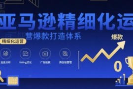 亚马逊精细化运营爆款打造体系课程 含视频课+全套资料文档